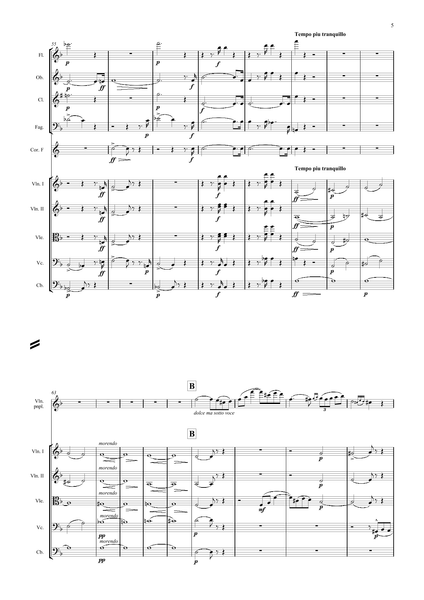 Wieniawski, Henryk: Violin Concerto No. 2 in D minor, Op. 22 (arr. for String Quintet & Wind Quintet) (AEGC9)