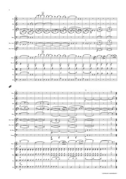 Johann Strauss II: Blindekuh (NXP045)