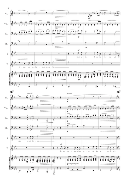 Rafael Martínez-Valls: Evocació al Pirineu (Cançó d'amor i de guerra) – arranged for voices and ensemble by Santi Escura (NXP125)