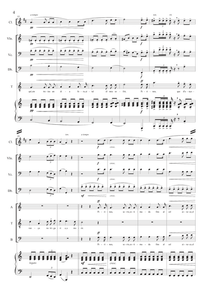 Rafael Martínez-Valls: Evocació al Pirineu (Cançó d'amor i de guerra) – arranged for voices and ensemble by Santi Escura (NXP125)