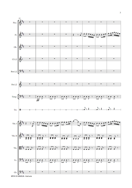 Daniel François Esprit Auber: Rêve d'Amour – Act III: Entr'acte (arr. Dario Salvi) (NXP146)