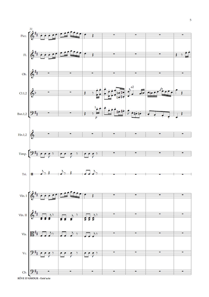 Daniel François Esprit Auber: Rêve d'Amour – Act III: Entr'acte (arr. Dario Salvi) (NXP146)