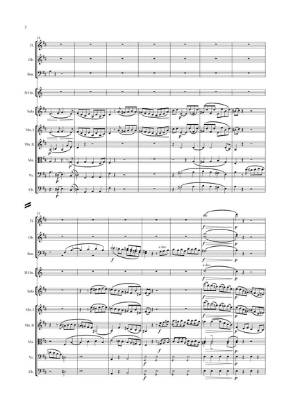 Daniel François Esprit Auber: Concerto for Solo Violin (NXP050)