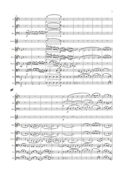 Daniel François Esprit Auber: Concerto for Solo Violin (NXP050)