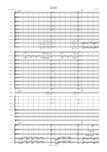 Pyotr Ilyich Tchaikovsky: The Voyevoda Suite – arranged by Peter Breiner (PB050)