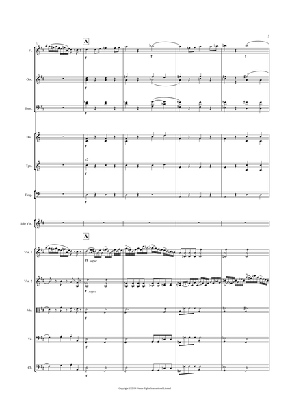 Pierre, Rode: Violin Concerto No. 11 in D major, Op. 23 (Rode011)