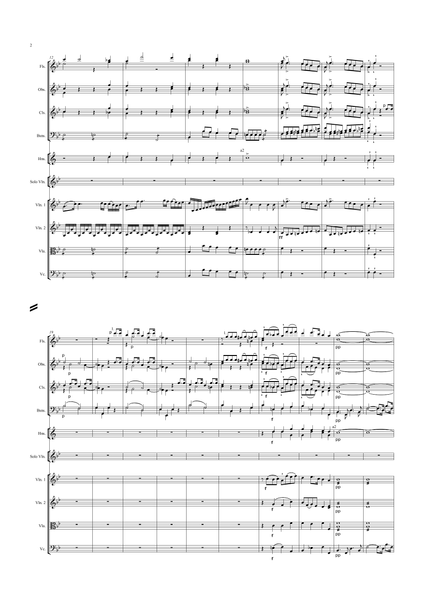 Pierre, Rode: Violin Concerto No. 6 in B-flat Major, Op. 8 (Rode006)