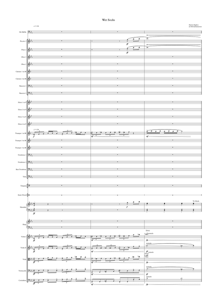 New Orchestral Hits 4 Kids: Wet Socks