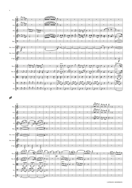 Johann Strauss II: Blindekuh (NXP045)