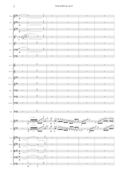 Franz Doppler: Valse di Bravura, op. 33 – arranged for two flutes and orchestra by Santi Escura (NXP)