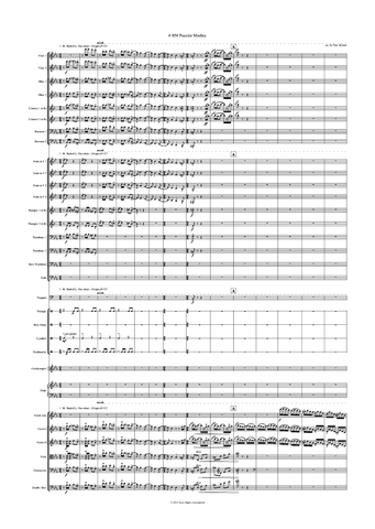 Peter Breiner: Puccini Medley (PB067)