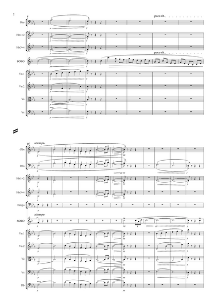 Nikolai Rimsky-Korsakov: Clarinet Concerto (Konzertstück in E flat) – Arrangement for clarinet and orchestra by Robin White (EDN80030)