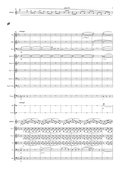 Nikolai Rimsky-Korsakov: Clarinet Concerto (Konzertstück in E flat) – Arrangement for clarinet and orchestra by Robin White (EDN80030)