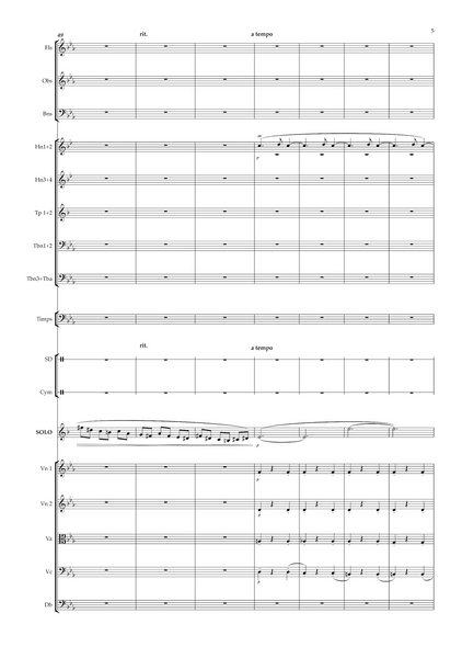 Nikolai Rimsky-Korsakov: Clarinet Concerto (Konzertstück in E flat) – Arrangement for clarinet and orchestra by Robin White (EDN80030)