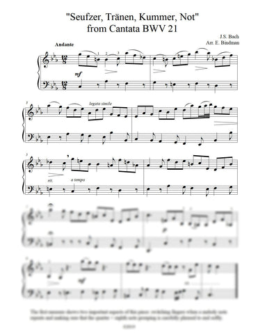 J.S. Bach: “Seufzer, Tränen, Kummer, Not” from Cantata BWV 21 arranged for piano by Eleonor Bindman (GPC048)